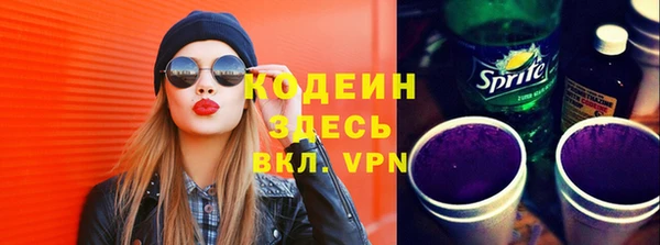 МДПВ Бородино