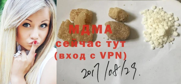 МДПВ Бородино