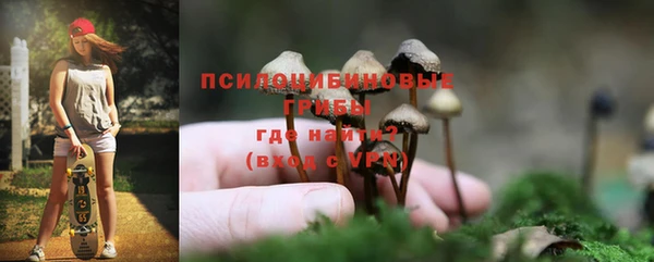 гашиш Богородицк