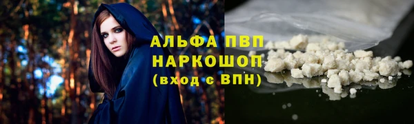 МДПВ Бородино