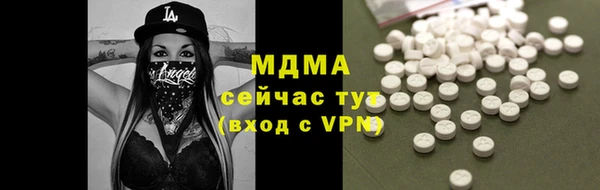 МДПВ Бородино