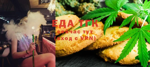 МДПВ Бородино
