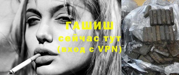 МДПВ Бородино