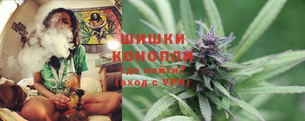 МДПВ Бородино